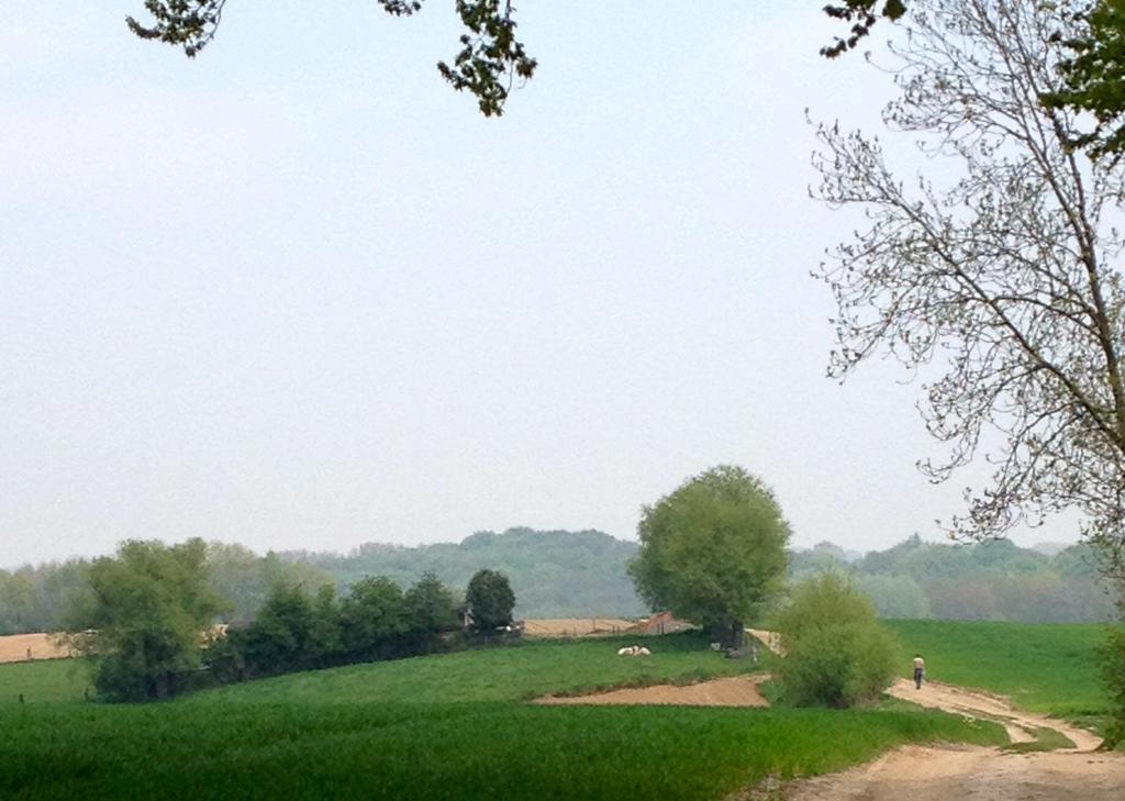 Villa Den Haegepreeck Horebeke Esterno foto